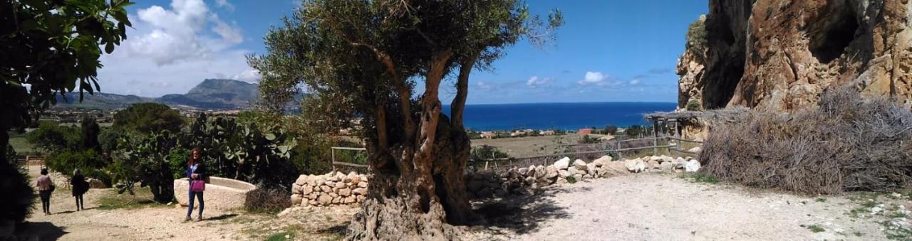 Baia Cofano Home Custonaci Εξωτερικό φωτογραφία